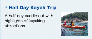 Half Day Kayak Trip